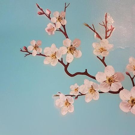 Le Petit Logis De Tinteniac 앙제 외부 사진