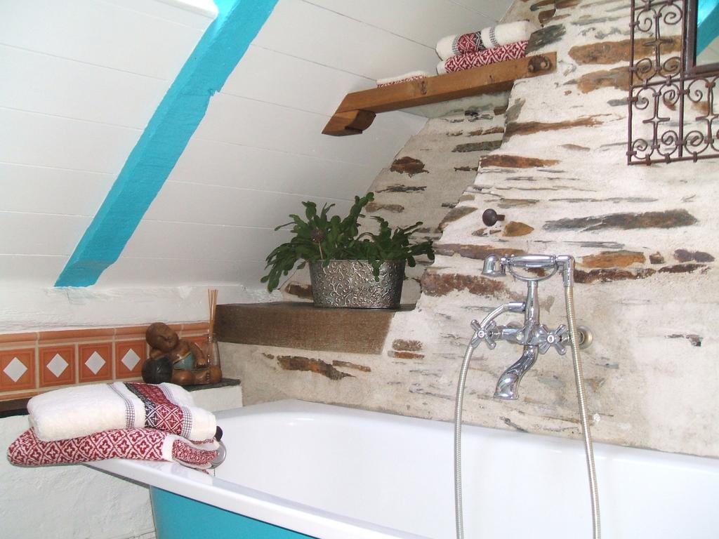 Le Petit Logis De Tinteniac 앙제 객실 사진