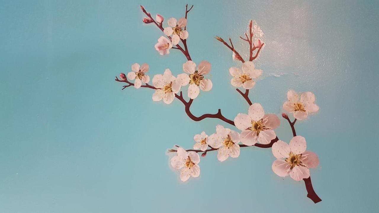 Le Petit Logis De Tinteniac 앙제 외부 사진