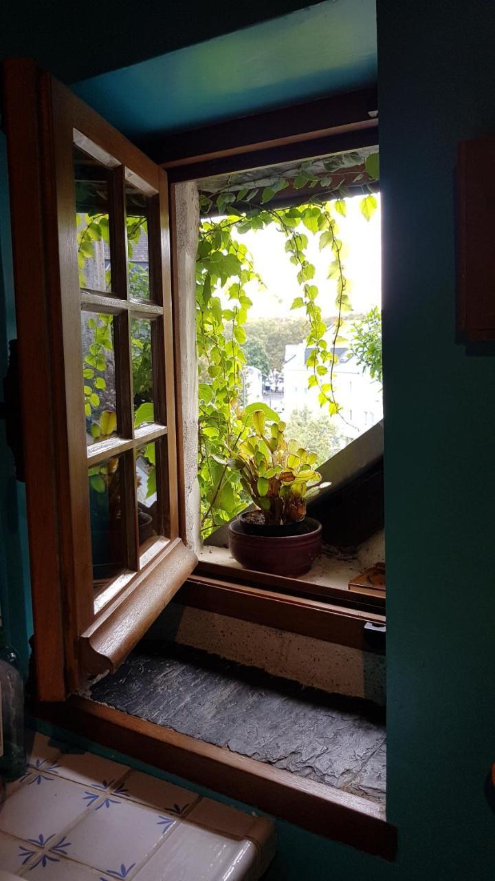 Le Petit Logis De Tinteniac 앙제 외부 사진